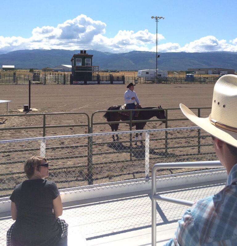 Sermon from the Mount: Exploring our Kinship with Animals