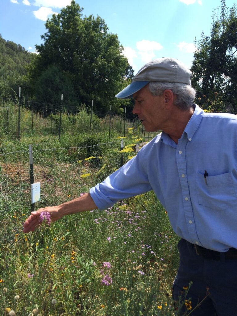 The Butterfly Man of Santa Fe: Randall Davey Audubon Center