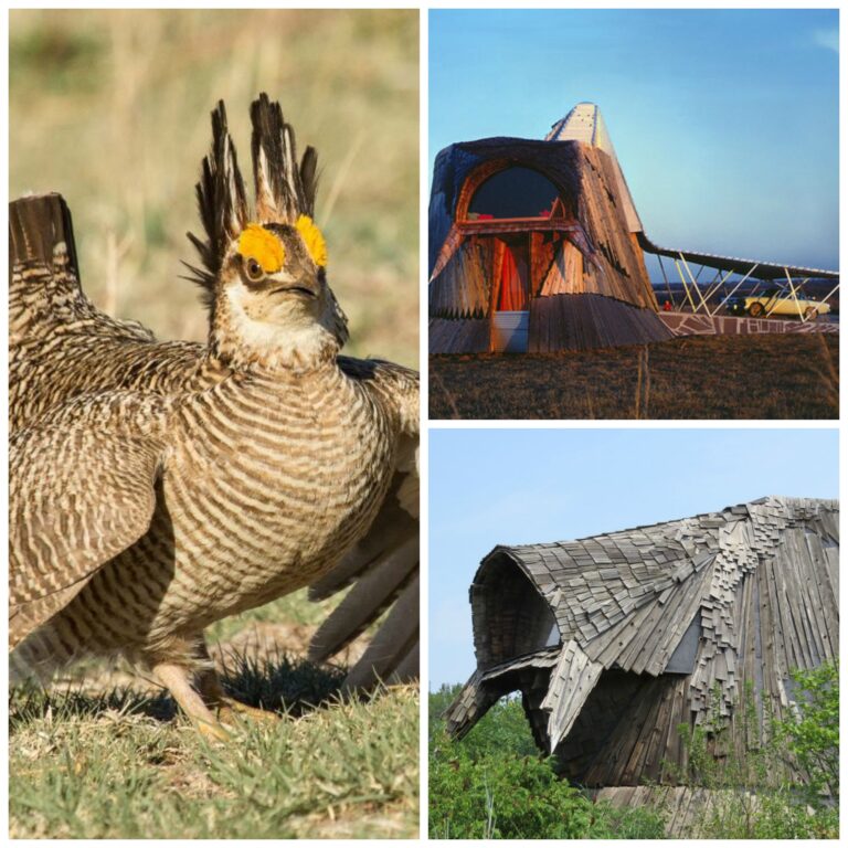 The Prairie Chicken House Then & Now: Of Dreams, Creativity & A Lost Landscape