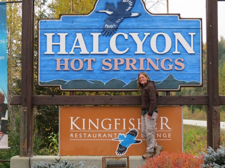 Halcyon Hot Springs:  Kingfisher brings Happiness