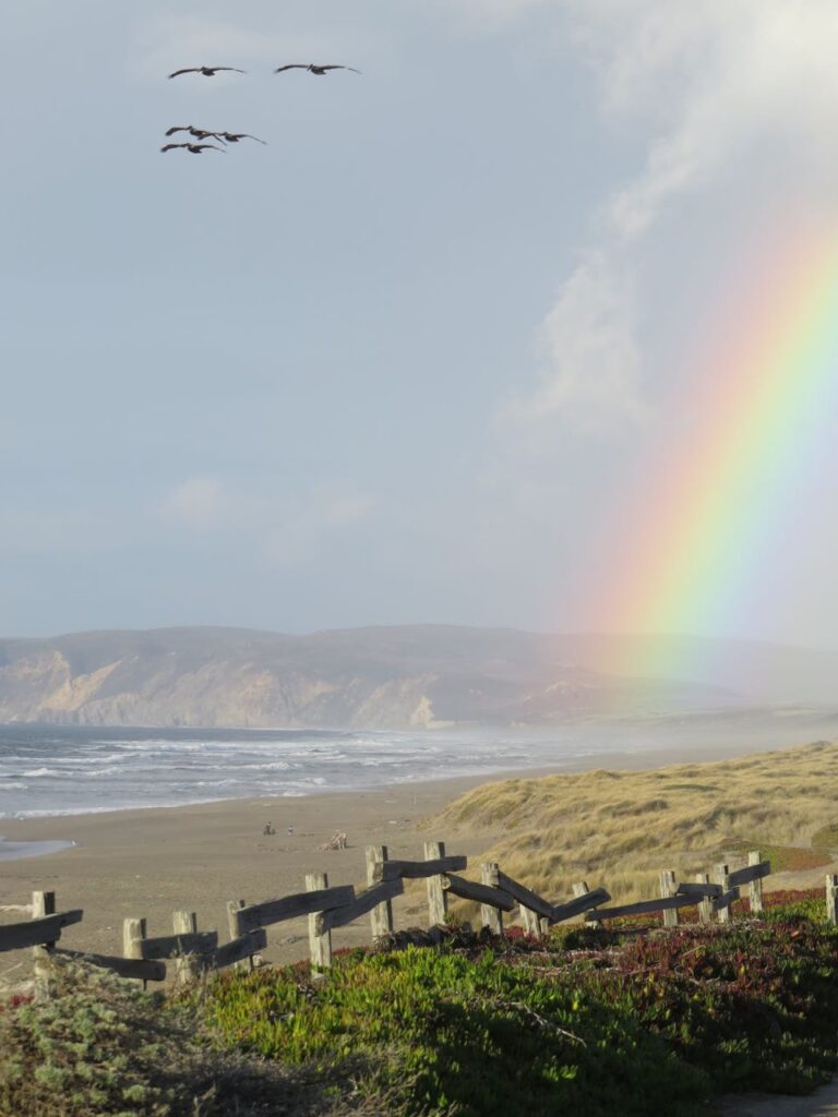 Running & Writing: Point Reyes National Seashore, California