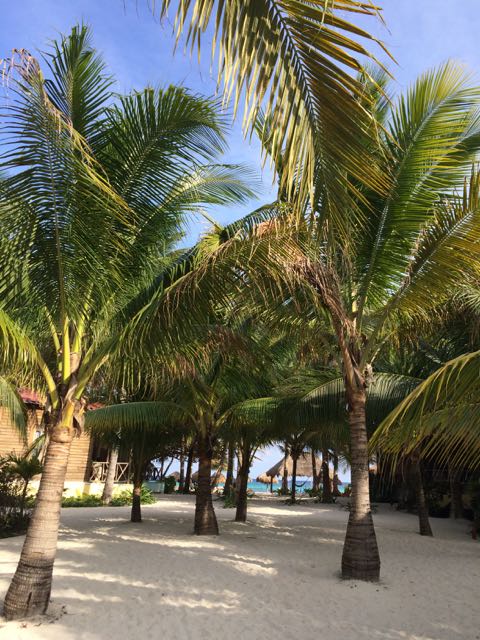 Oasis in Yucatan Shines Valiantly in Face of Mass Tourism