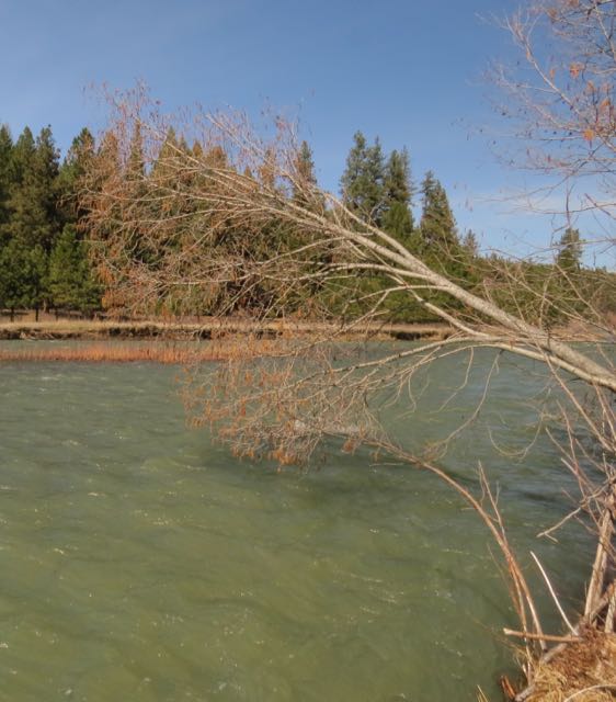 A Brush with Spring on Oregon’s Grande Ronde River