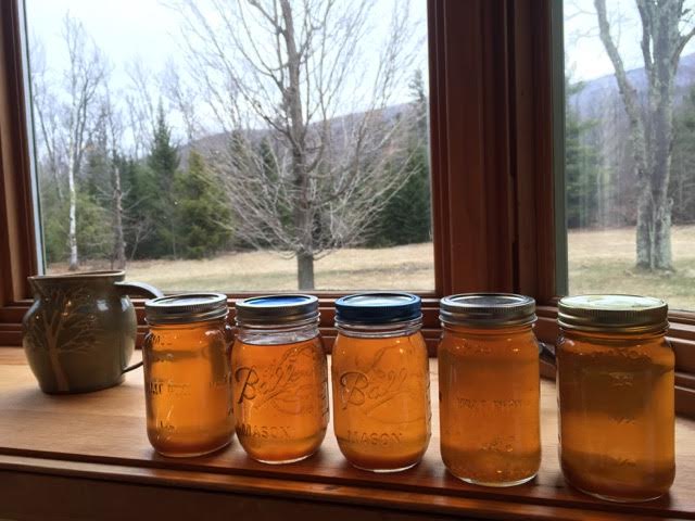Sap to Syrup – liquid gold & the scent of maple-Sandra’s Guest Blog Part 2
