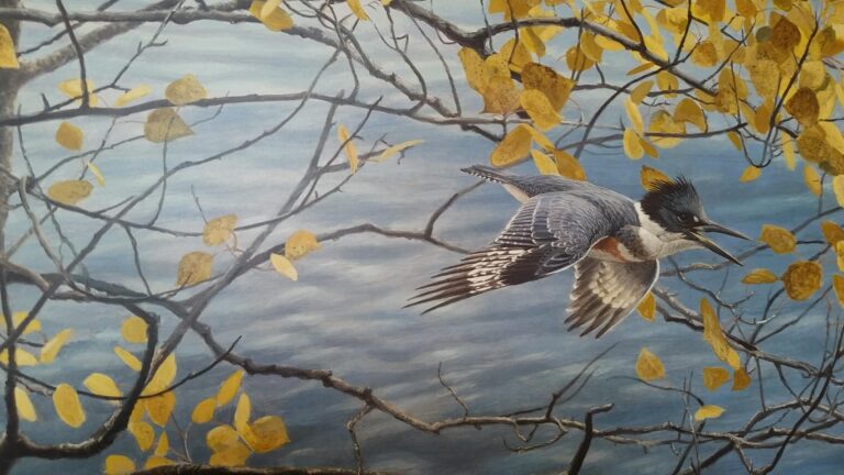 What Makes a Halcyon Day?