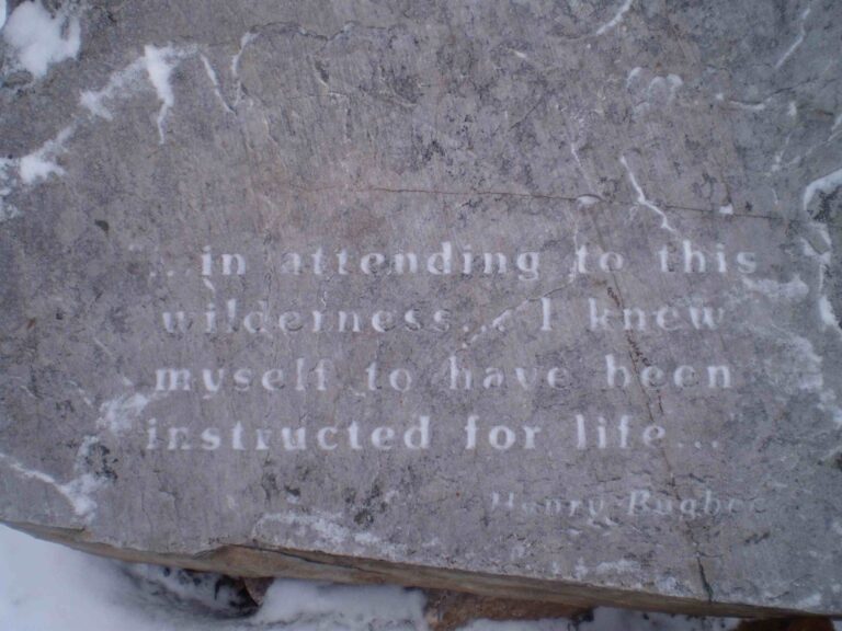 Bugbee Nature Preserve: “In attending to this wilderness”