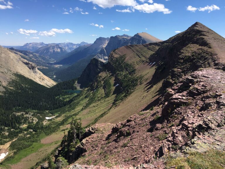 Read the Land & Listen to its Messengers