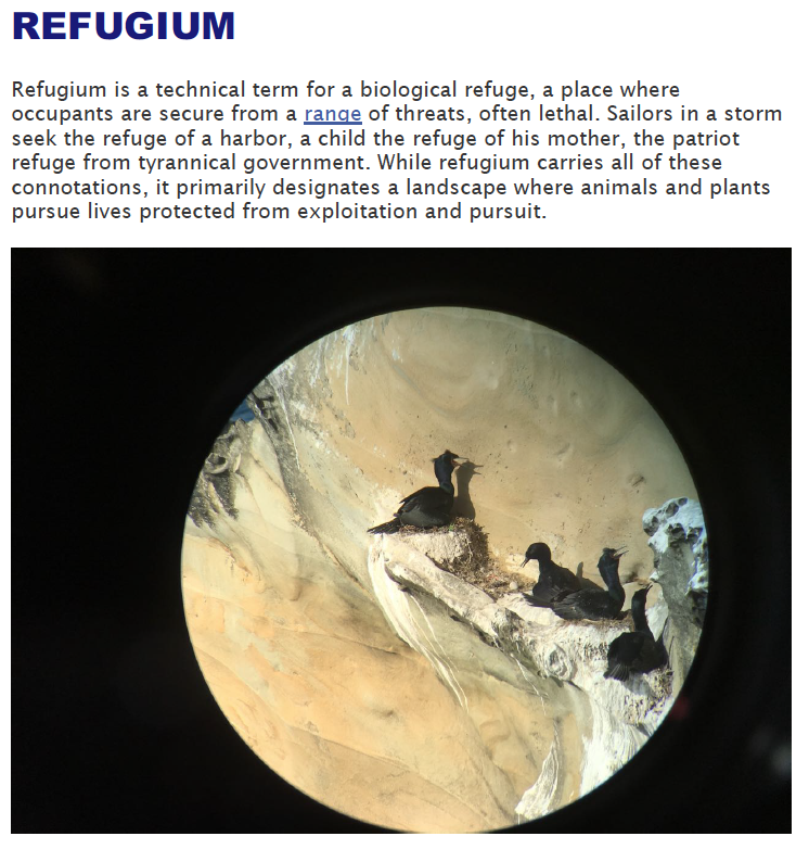 America the “Refugium” – as defined by Barry Lopez- and other revelations from my bookshelf…