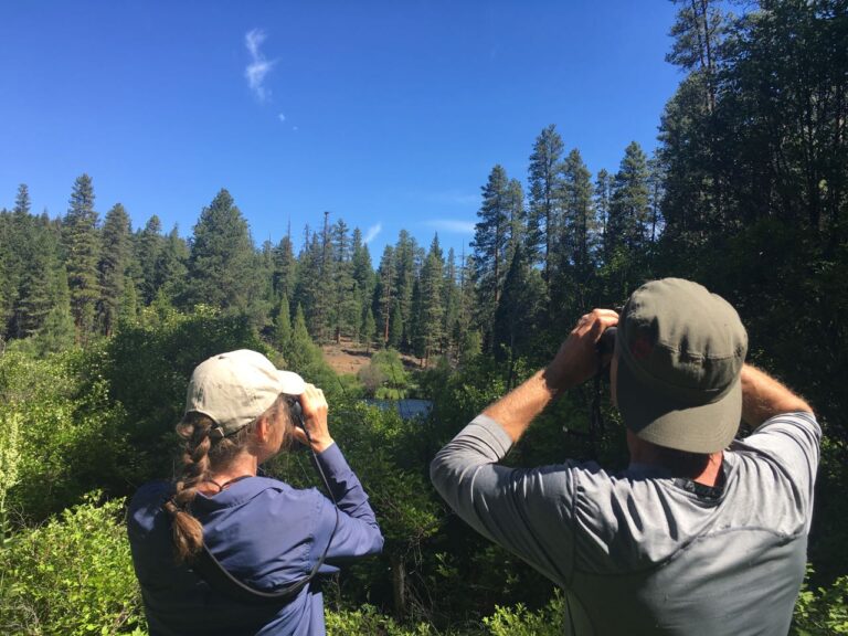 Metolius River – Birds, Bliss & Butterflies