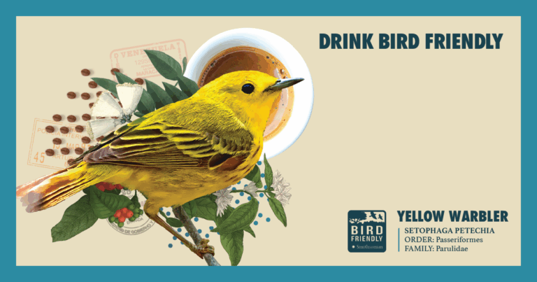 True Love for Truly Bird Friendly Coffee
