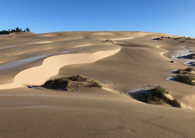 Runes of  Winter Dunes