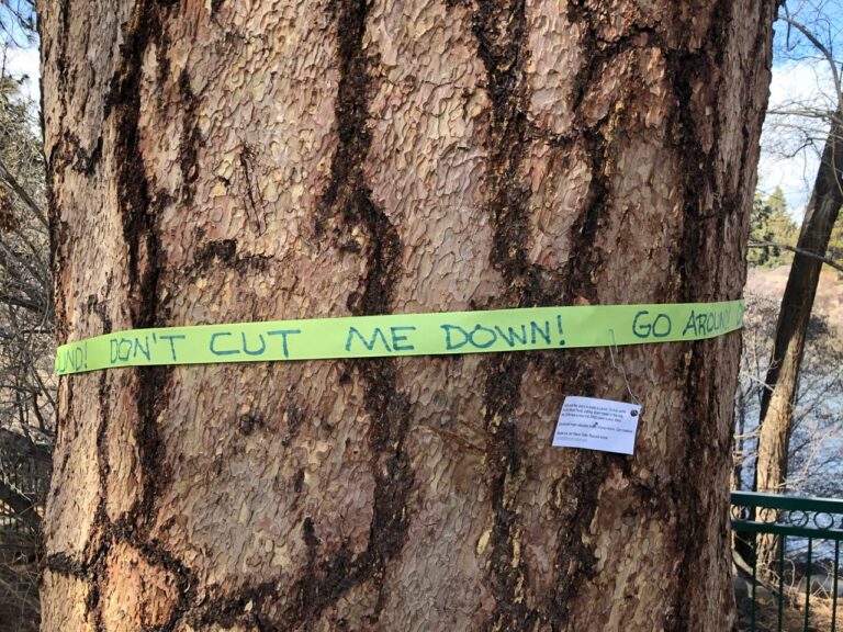 Green Ribbon Protest