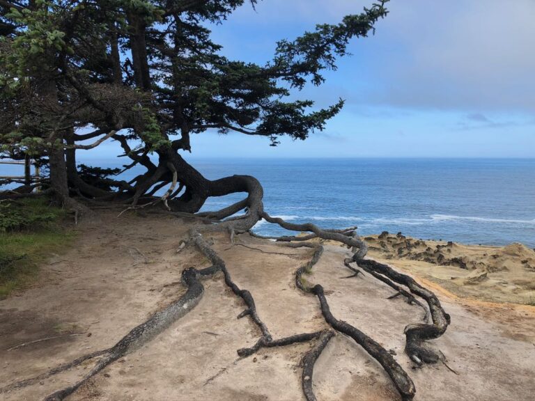 Poems of the Pandemic-inspired by Kim Stafford