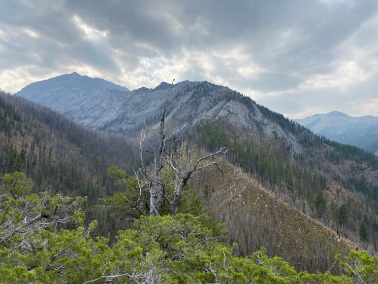Wallowas Wilderness Wisdom