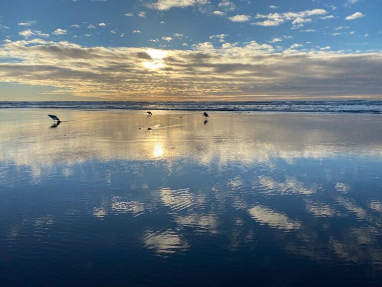 Vote! Let’s Win This–Take Strength from Nature