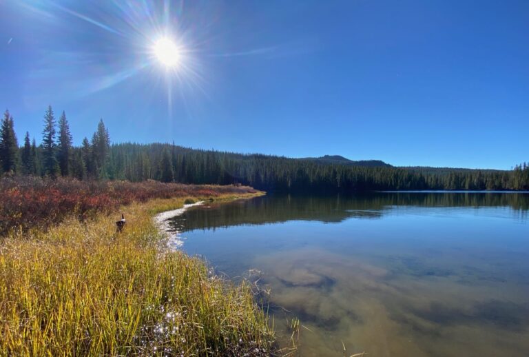 Poems and Ponders of Thanksgiving