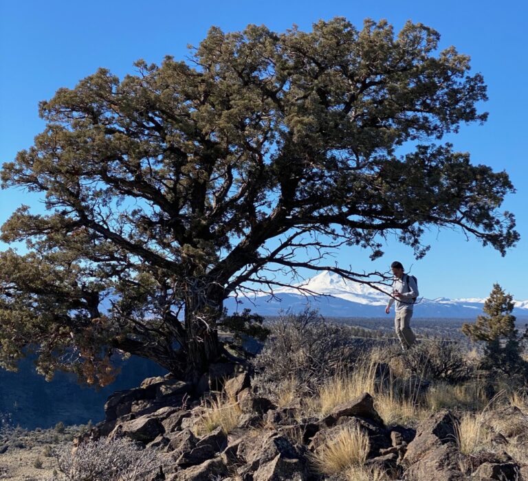 Spring Nudges the Rimrock