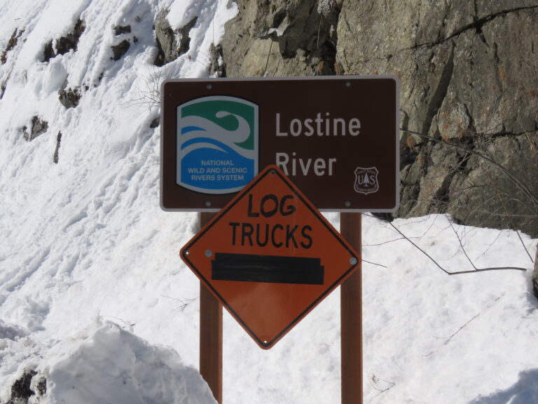 Lostine River Corridor Logging: Lament and a Promise