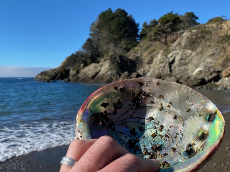 December Poems of Whimsy & Wander