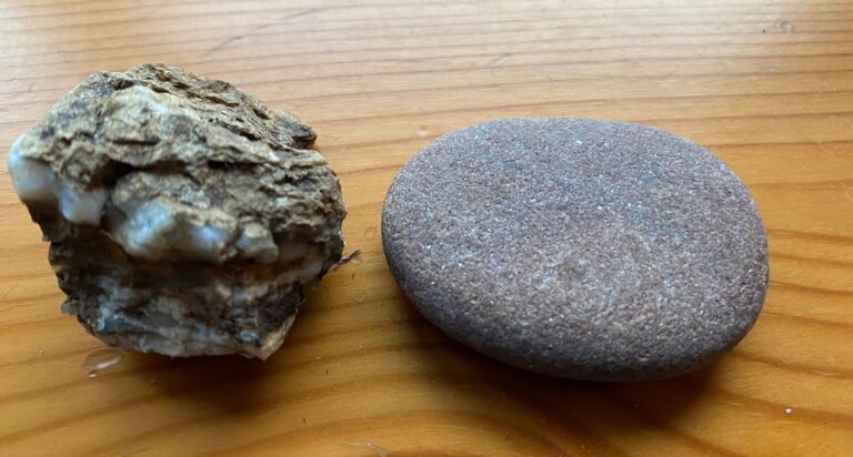 Simplicity and Complexity: Thoughts on Protecting our Forests