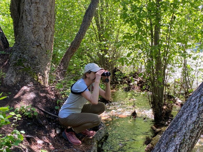 Kingfishers & Why We Need a Naturalist Renaissance
