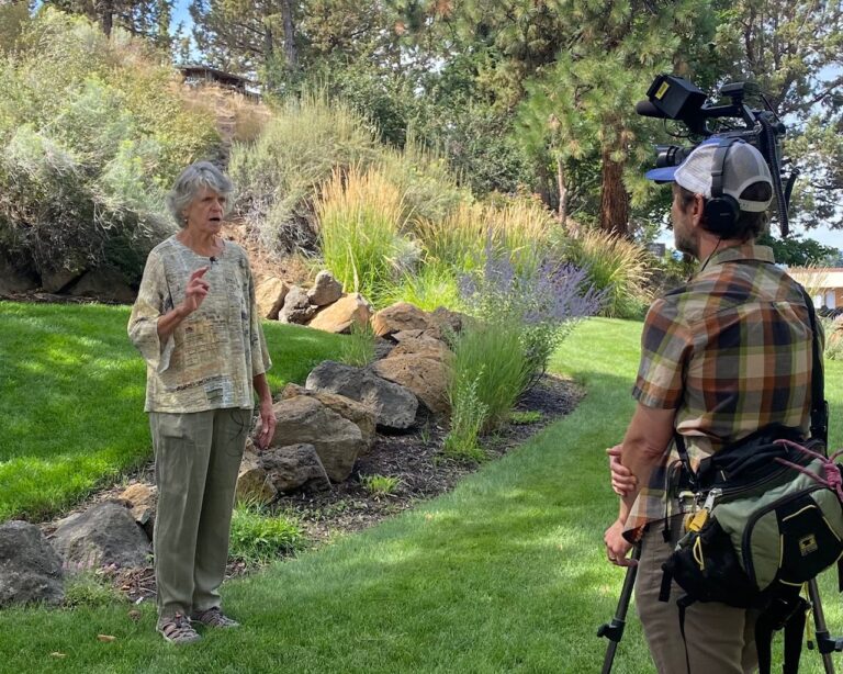 Save Worrell Wayside Park