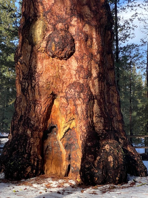 The Key to a Long Life