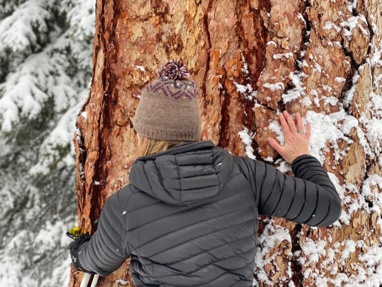 Step Away, Step In – a 2022 Farewell