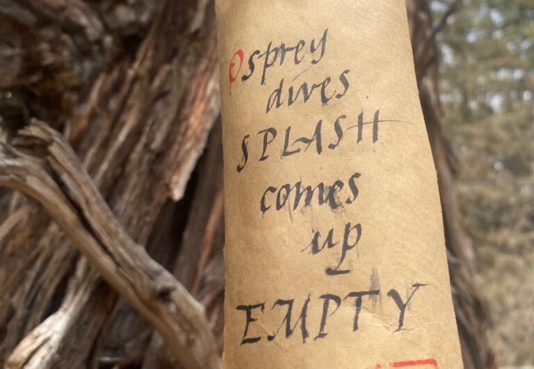 Calligraphy of the River Poet