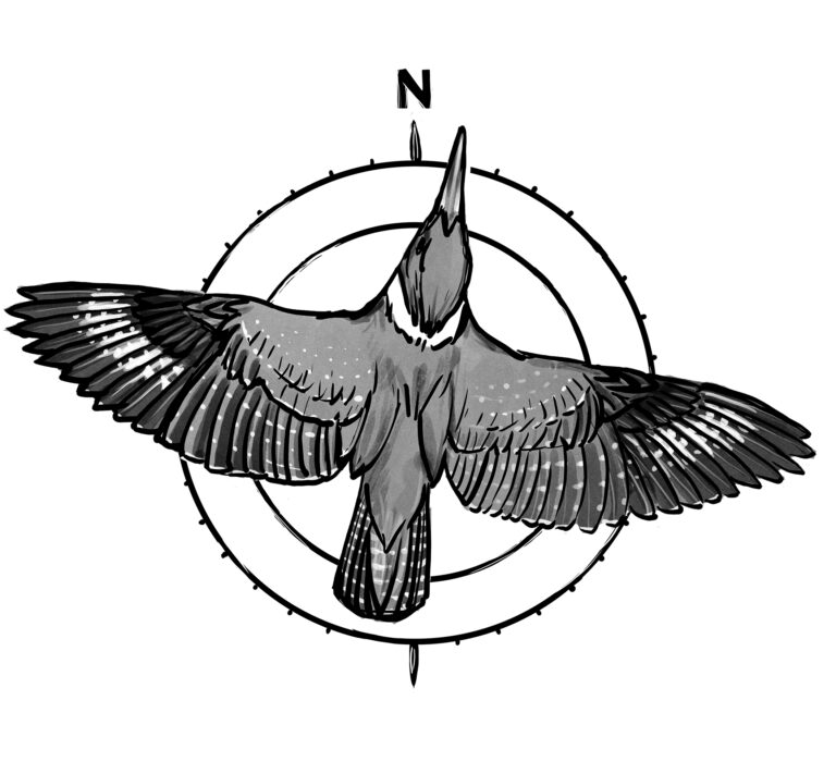 All Points of the Compass