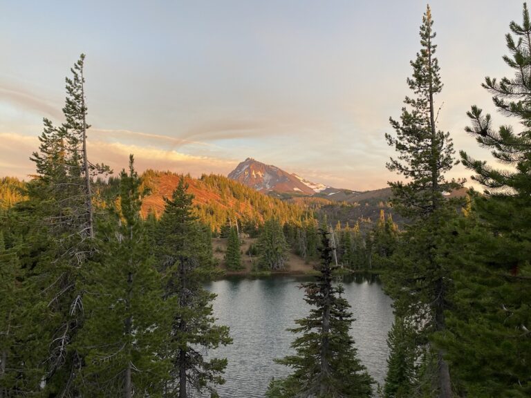 Trios of Renewal in the Three Sisters Wilderness