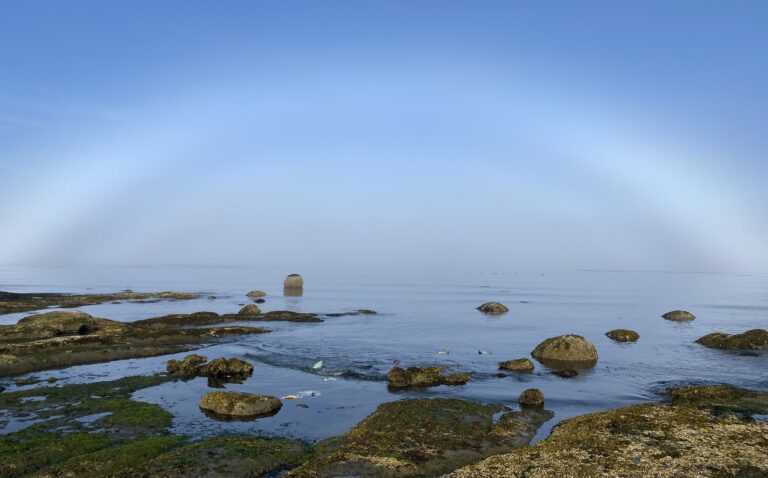 Mistbow: In praise of the Oregon Institute of Marine Biology and Jerry Rudy