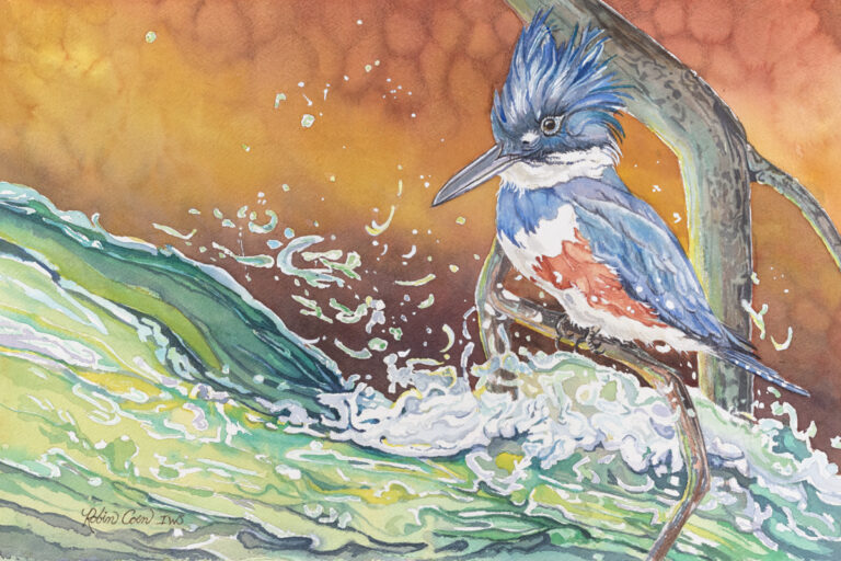 Refugia of the Blue Mountains