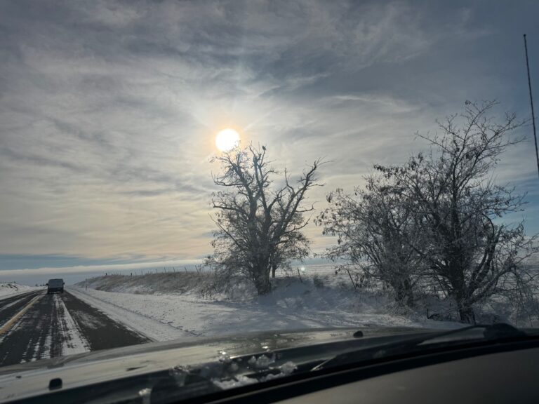 Driving Home in the Arctic Freeze, I Hit a Songbird