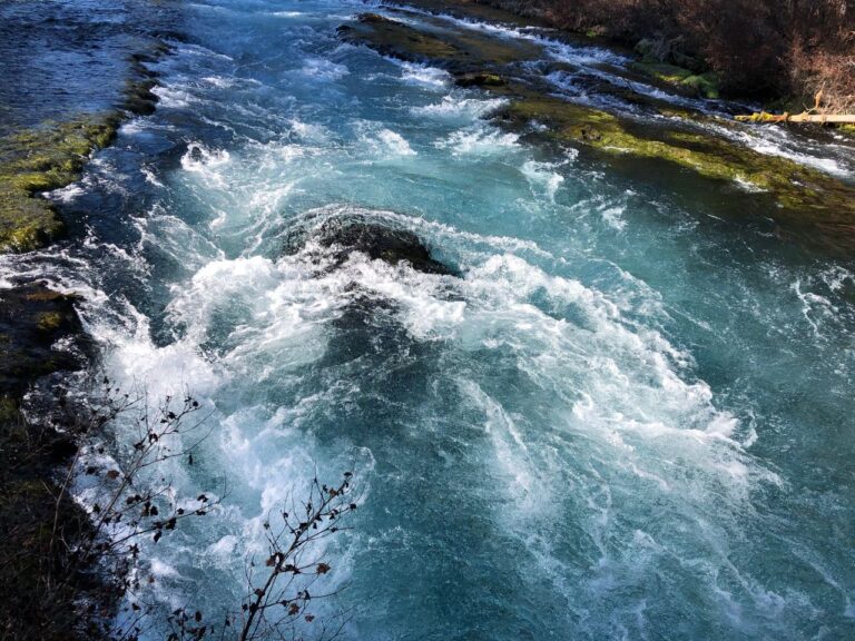 Beloved Metolius River: An Untold Story, the Promise of Wilderness, and the River Democracy Act