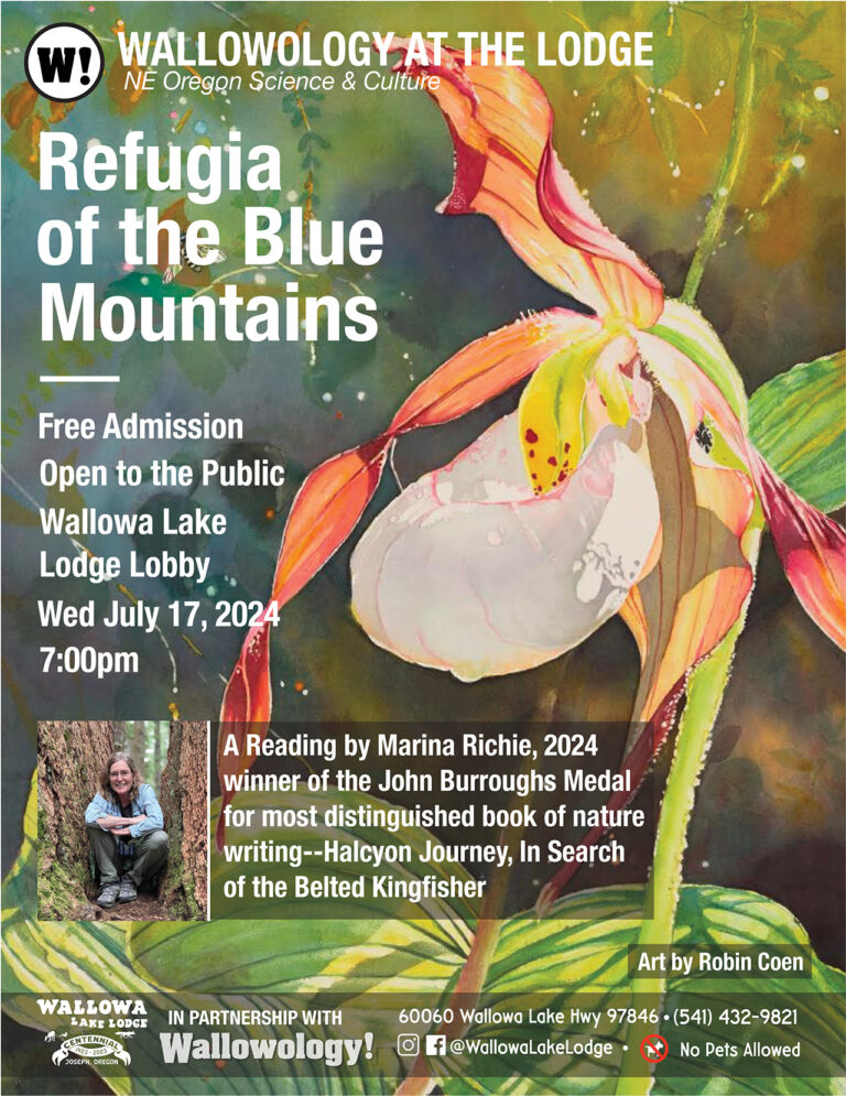 A Storied Wind Reveals the Way of Beauty