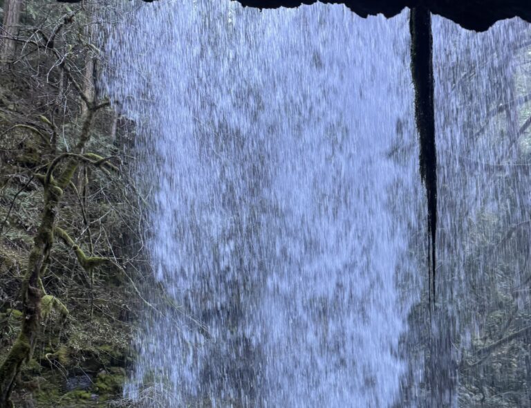 Poems of River, Muse & Math