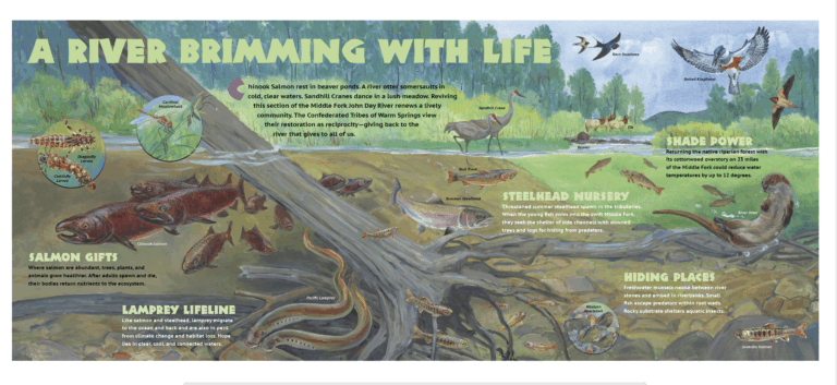 River of Renewal Rising