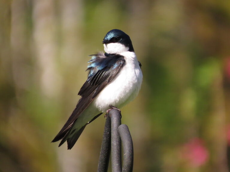 Spanning Time & Tides in Poetry