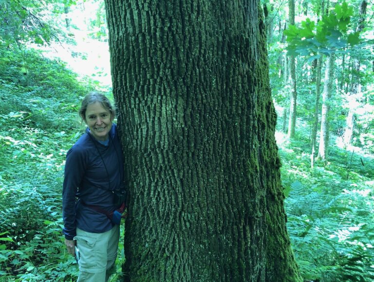 The Dave Richie Tree Survived Hurricane Helene