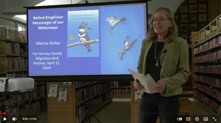 Kingfisher Talk – Harney County Migratory Bird Festival 2024