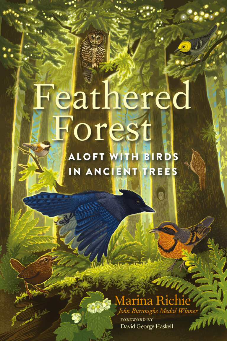 Preorder marina’s new book: feathered forest