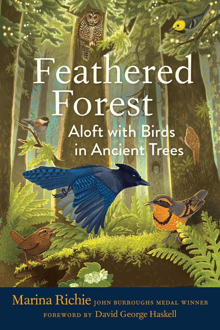 feathered forest