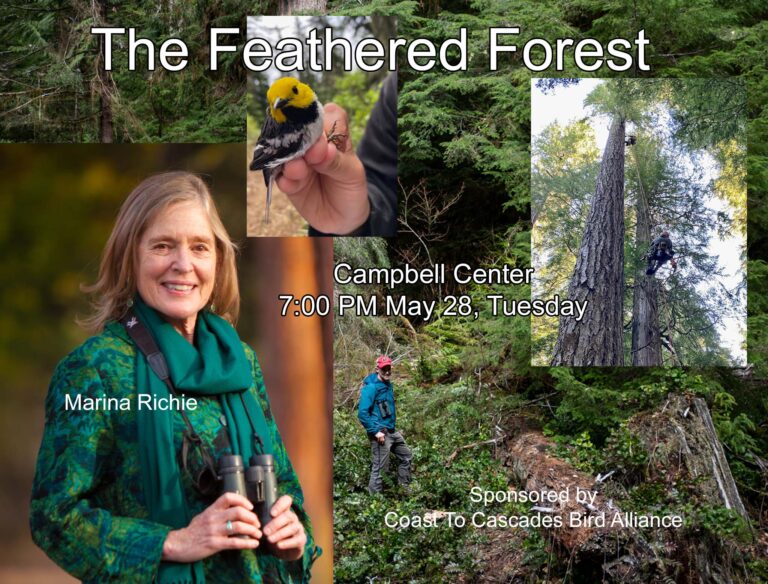 Feathered Forest  for coast to cascades bird alliance