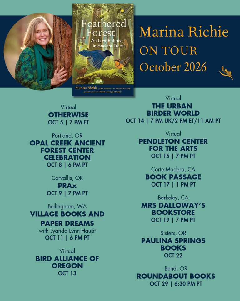 October feathered forest events & News