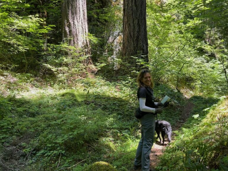 For the Love of Birds, Trees & All Wilds: Save Every Roadless Area