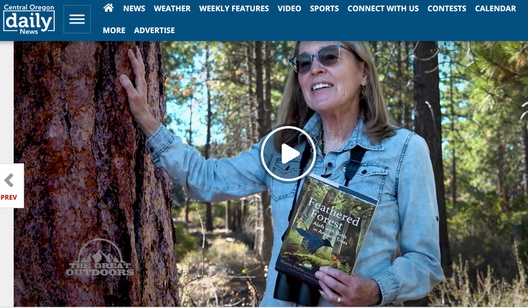 Aloft with birds in ancient trees– on tv